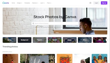 Stock Photos Canva – масштабный фотосток внутри онлайн-редактора для дизайнеров